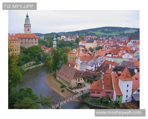 捷克足球的辉煌历程与未来展望：从历史传奇到现代竞技的蜕变